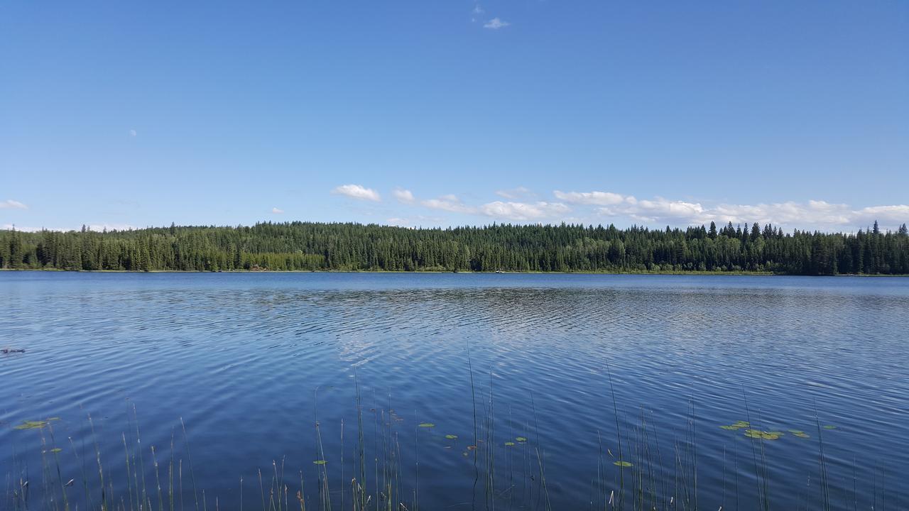 Bridge LakeWettstone Guest Ranch住宿加早餐旅馆 外观 照片
