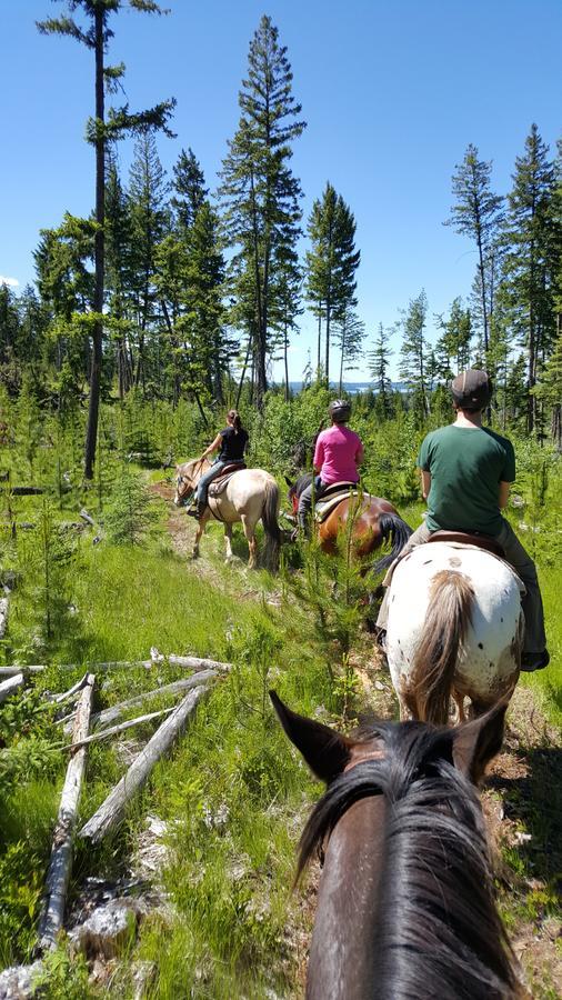 Bridge LakeWettstone Guest Ranch住宿加早餐旅馆 外观 照片