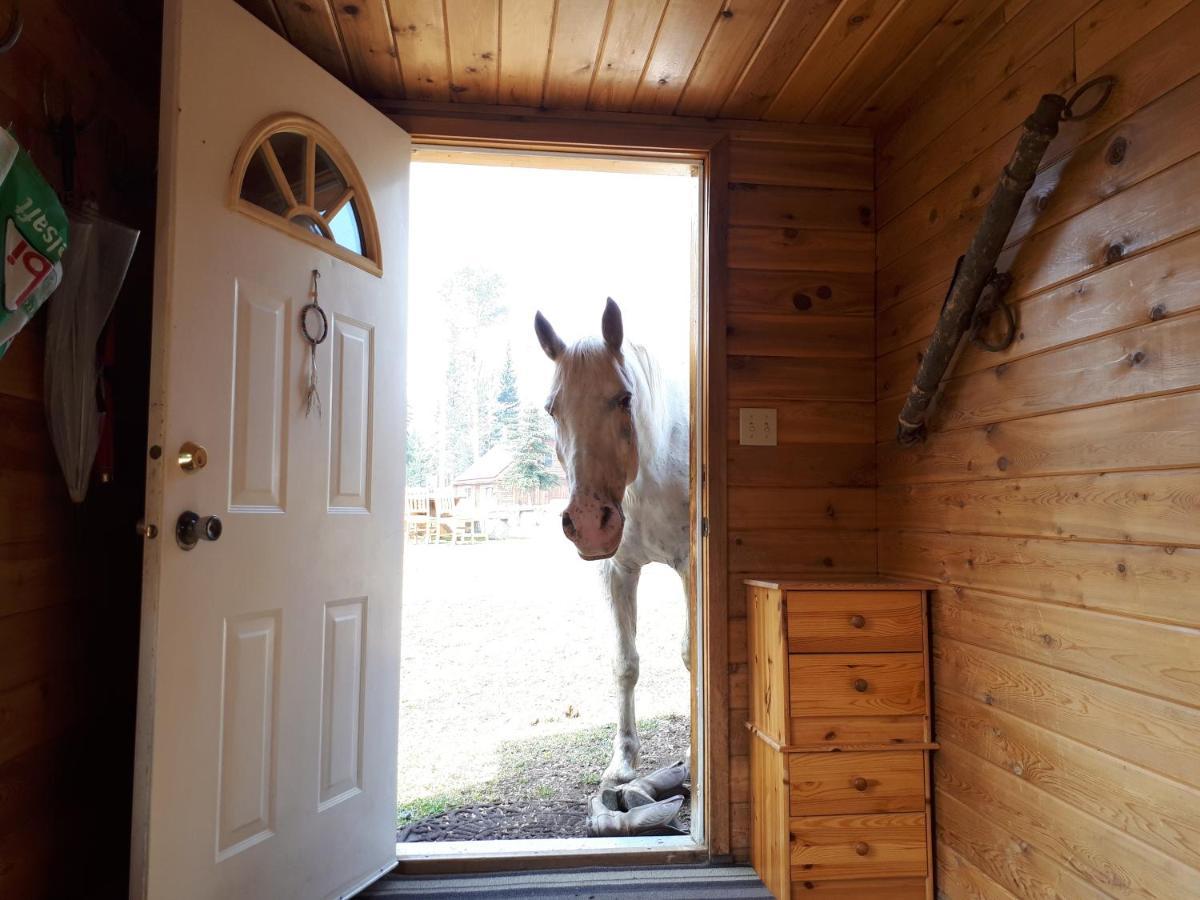 Bridge LakeWettstone Guest Ranch住宿加早餐旅馆 外观 照片