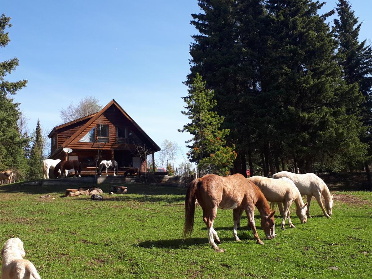 Bridge LakeWettstone Guest Ranch住宿加早餐旅馆 外观 照片