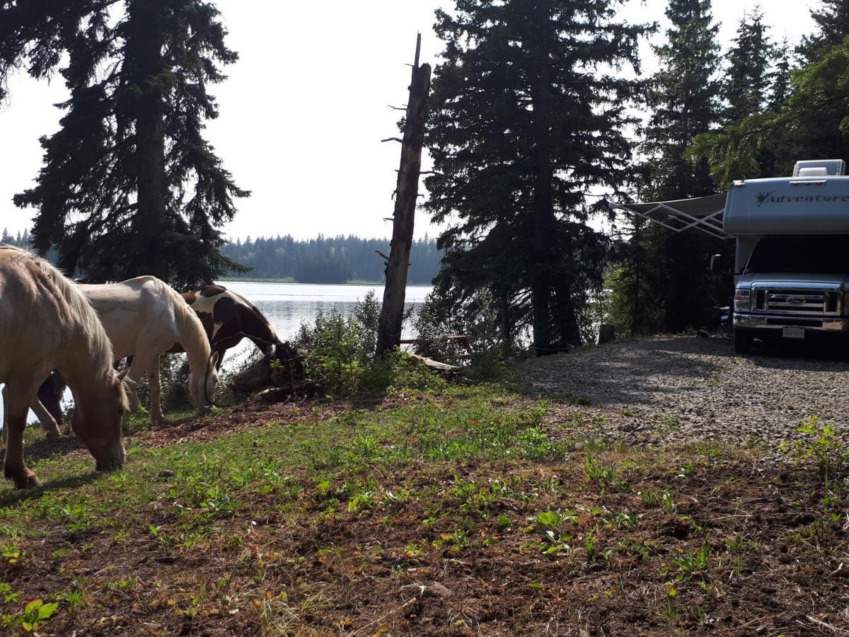 Bridge LakeWettstone Guest Ranch住宿加早餐旅馆 外观 照片